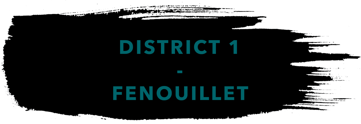 District 1 Fenouillet